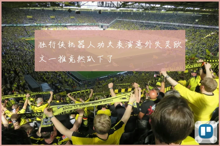独行侠机器人功夫表演意外失灵欧文一推竟然趴下了